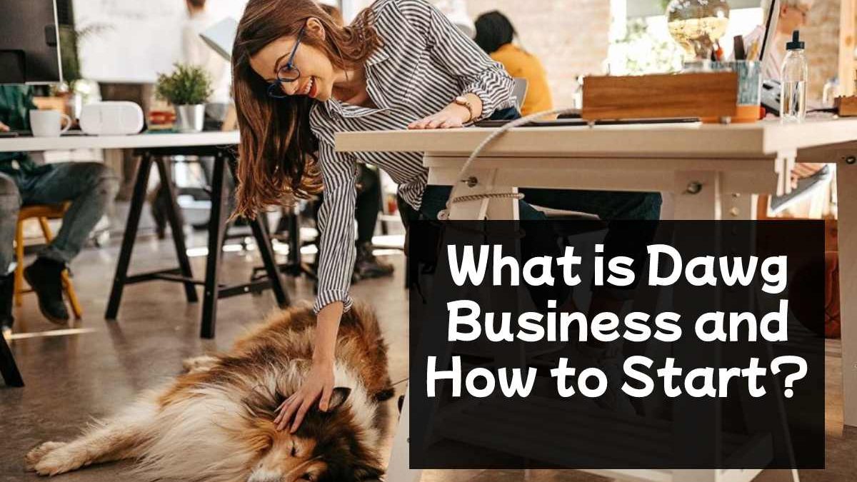What is Dawg Business and How to Start?