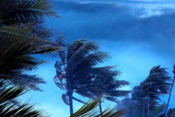 How To Prepare Hurricane