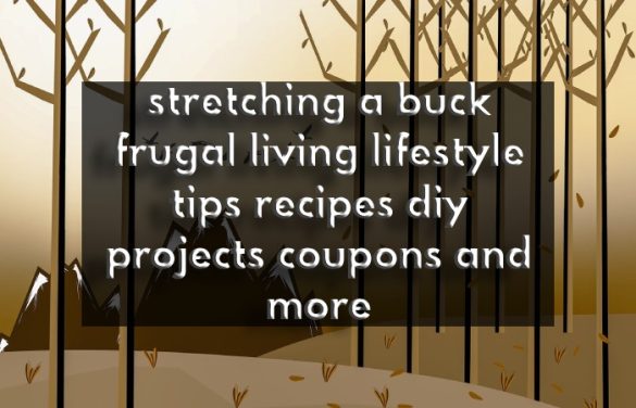 stretching a buck frugal living lifestyle tips recipes diy projects coupons and more