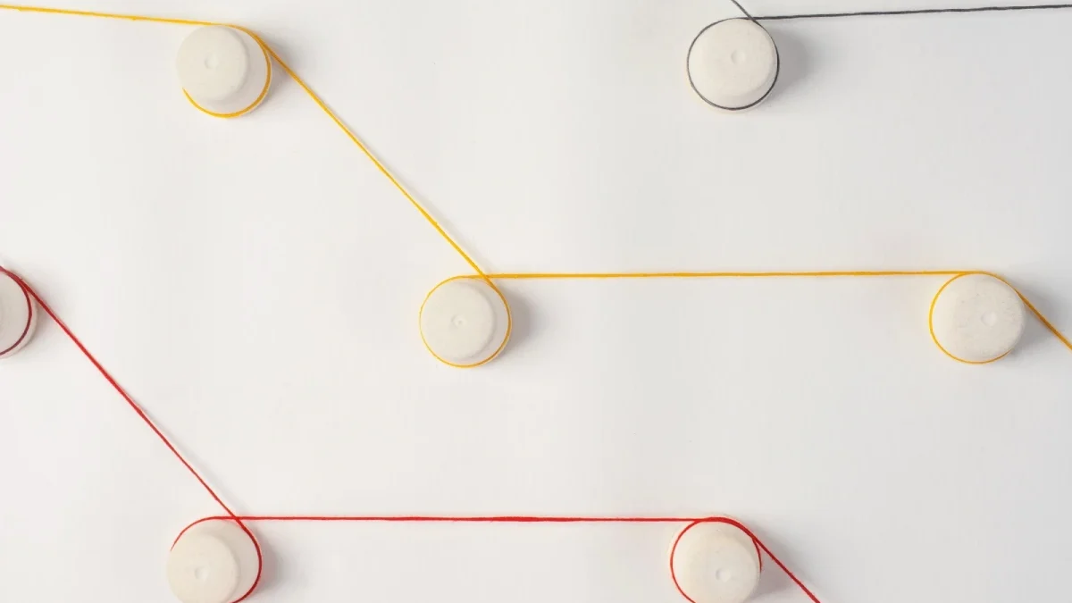 Mapping the Two-Year Business Management Journey